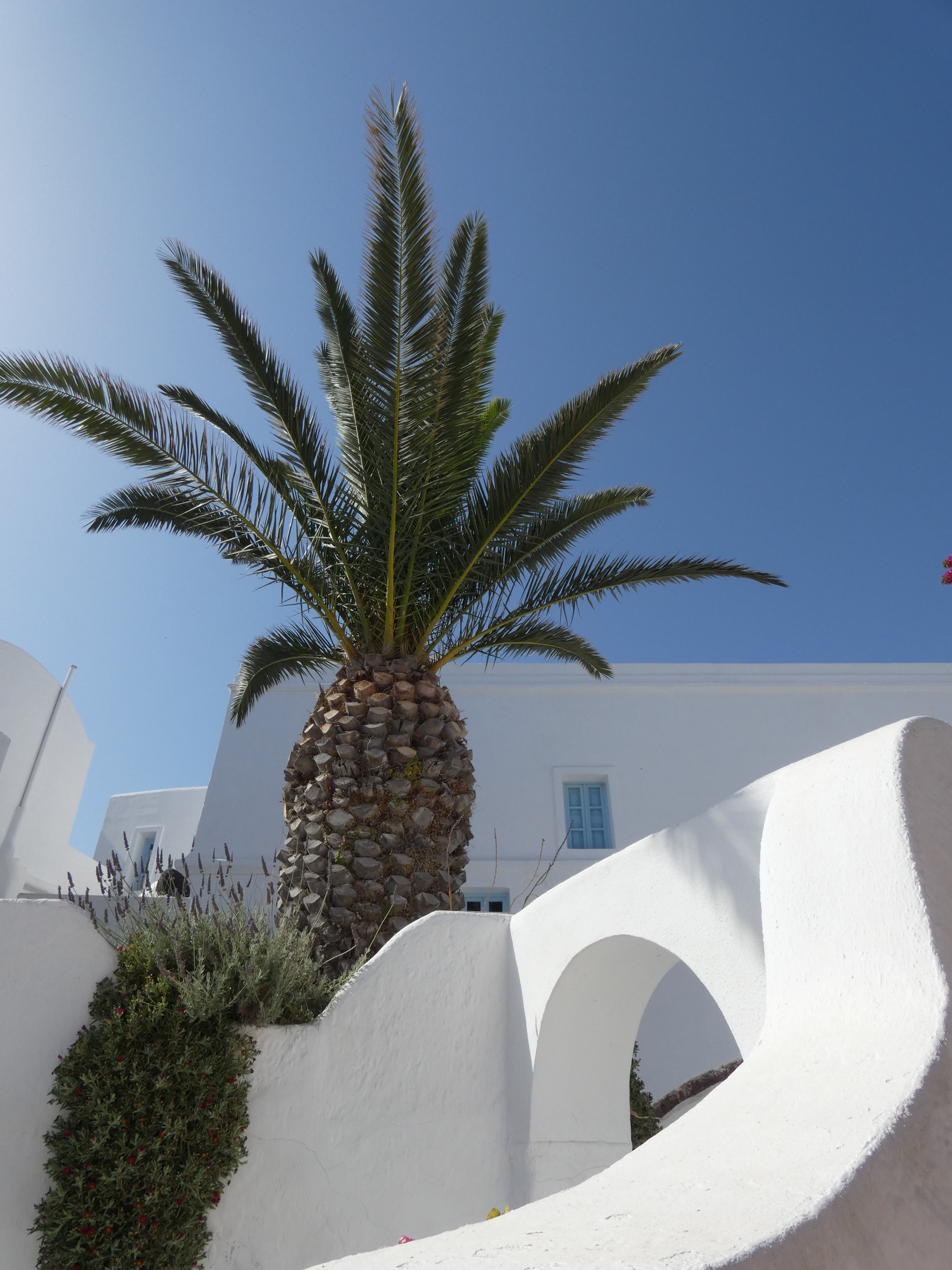 santorini travel guide. things to do santorini, santorini, santorini weather, santorini airport, santorini hotels, oia santorini, red beach santorini, santorini sunset